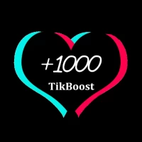 Бустер последователей Tikboost