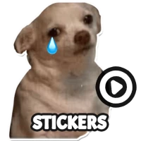 Собака Мемы WAStickerApps