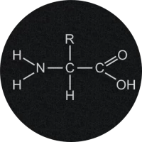 Amino Acids Quiz