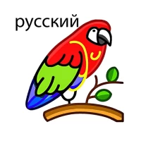 English russian dictionary