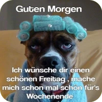 Lustige Guten Morgen Bilder