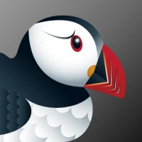 Puffin Incognito Browser