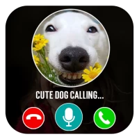 Dog fake video call prank