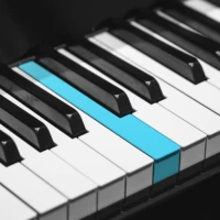 Real Piano электронное пианино